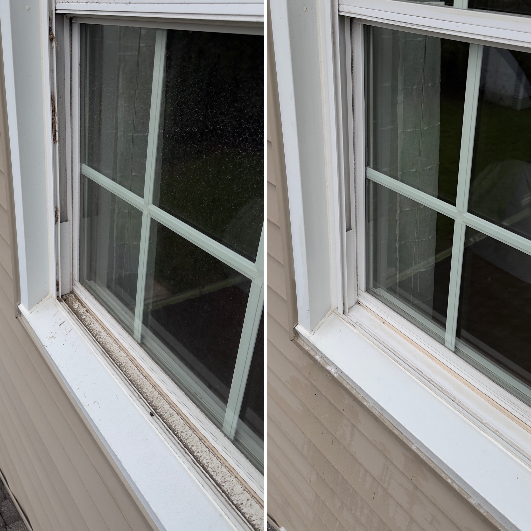 Window washing — Northbrook Clean Team